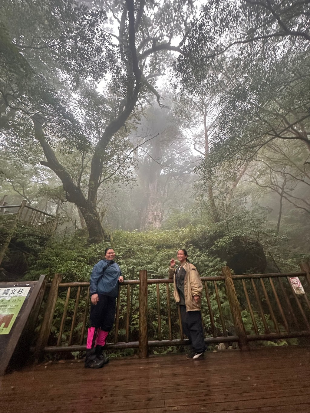 念願の屋久島へ行ってきました